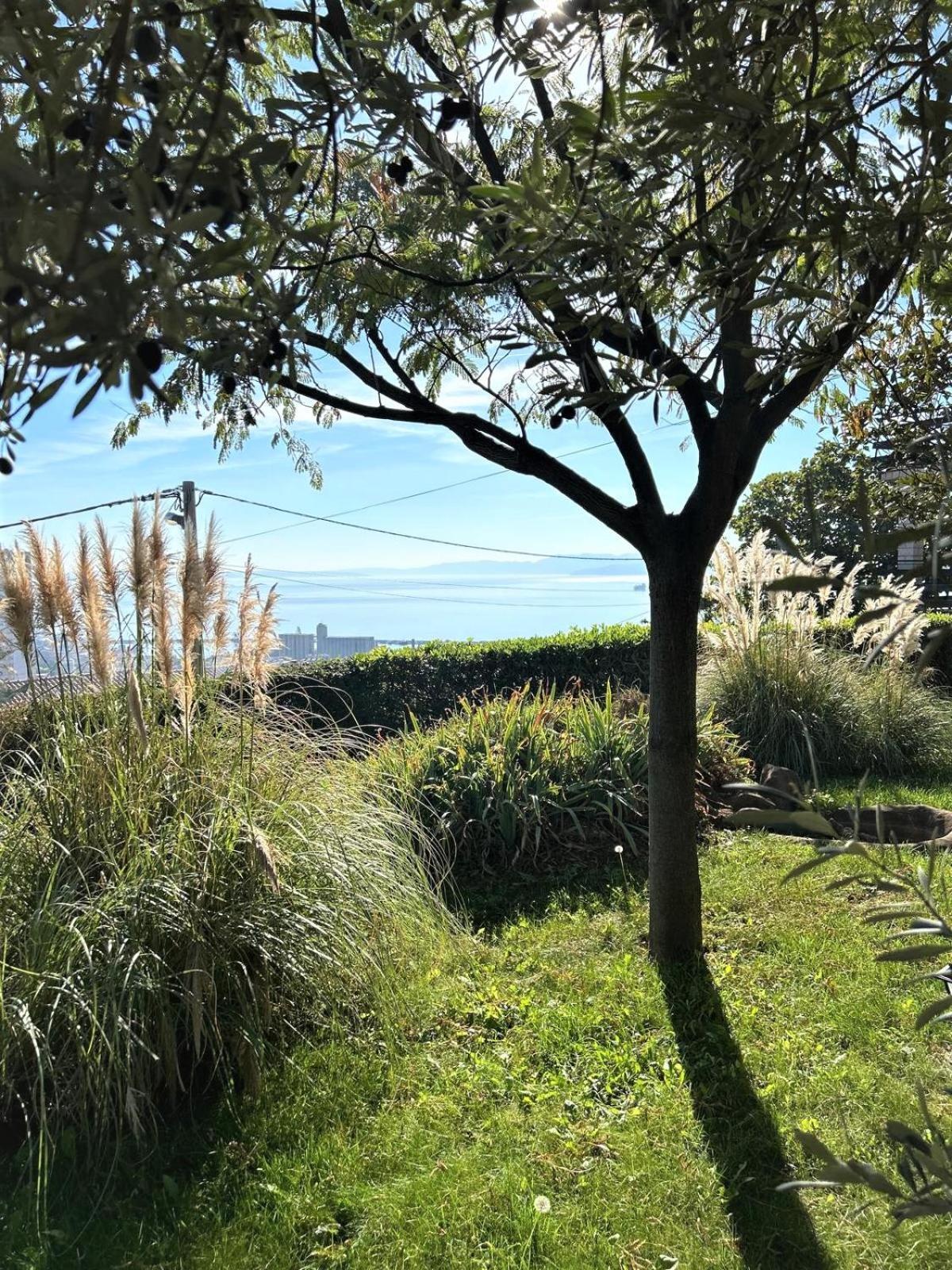Apartment Mediterranean Garden Риека Экстерьер фото